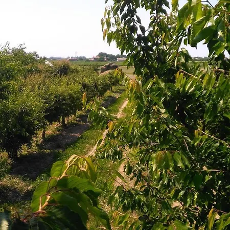 Farm stay Taglio Del Re *