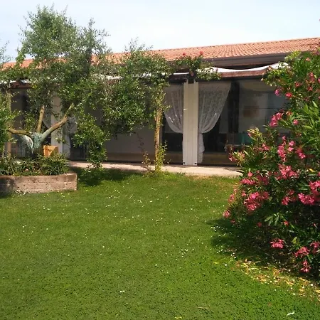 Taglio Del Re