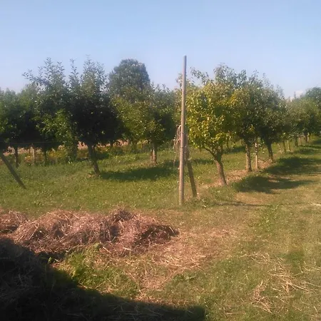 Farm stay Taglio Del Re Jesolo