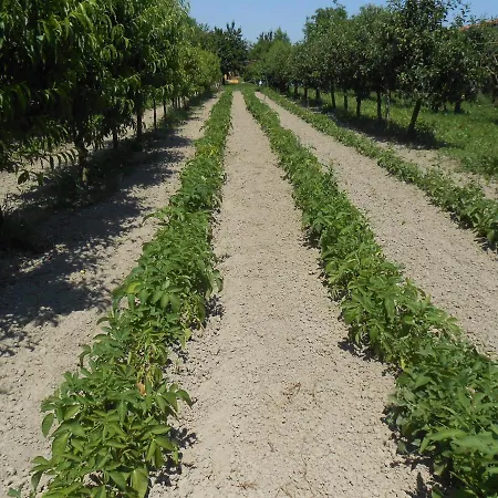 Farm stay Taglio Del Re