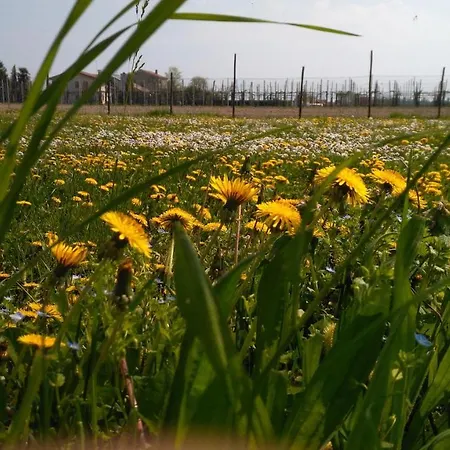 Farm stay Taglio Del Re *