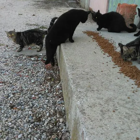 Taglio Del Re Farm stay *